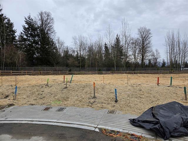 49 2692 Crossing Court, Abbotsford, British Columbia  V4X 1H4 - Photo 4 - R3116831