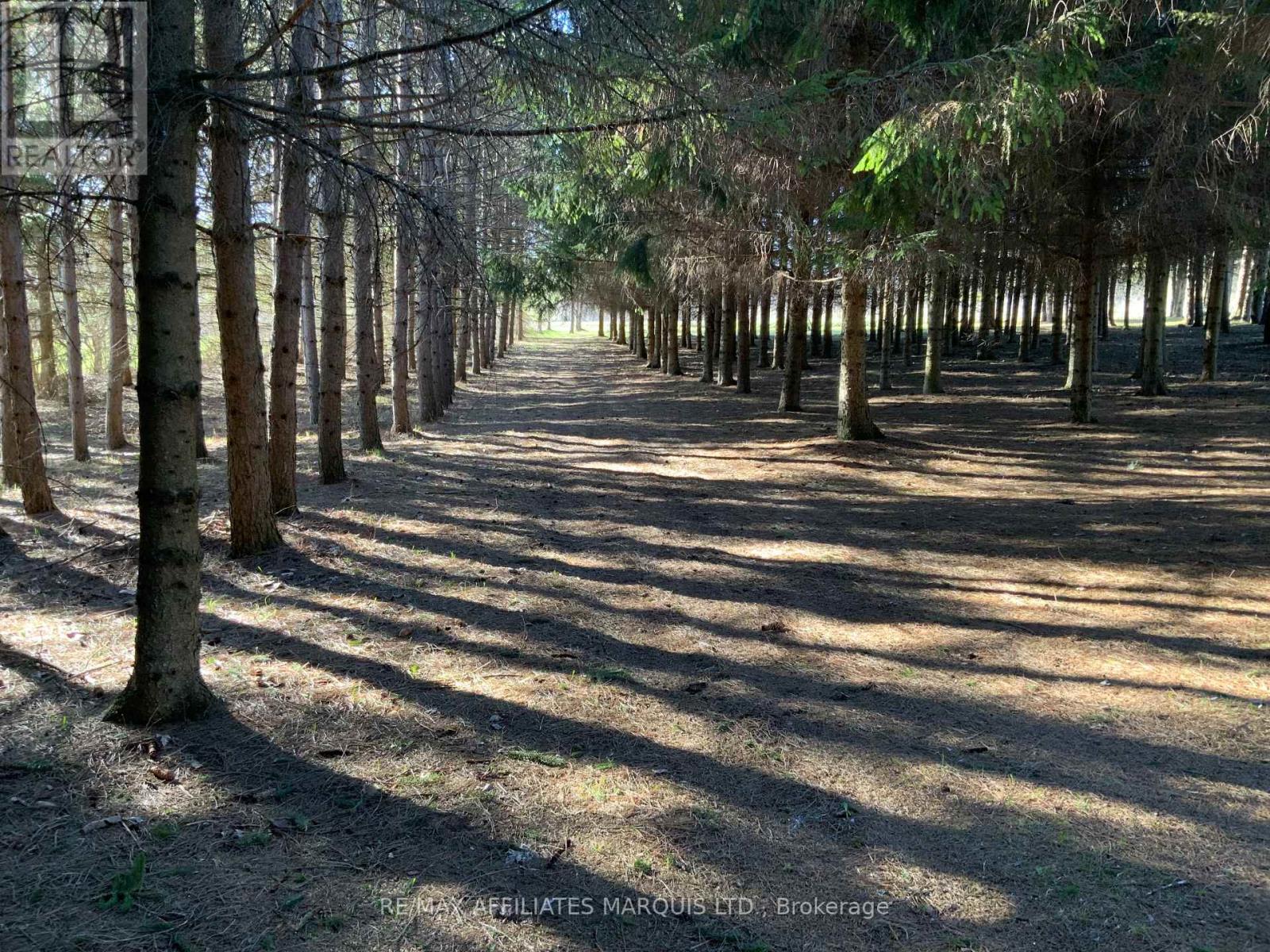 19168 Kenyon Conc 1 Road, North Glengarry, Ontario  K0C 1B0 - Photo 39 - X13055212