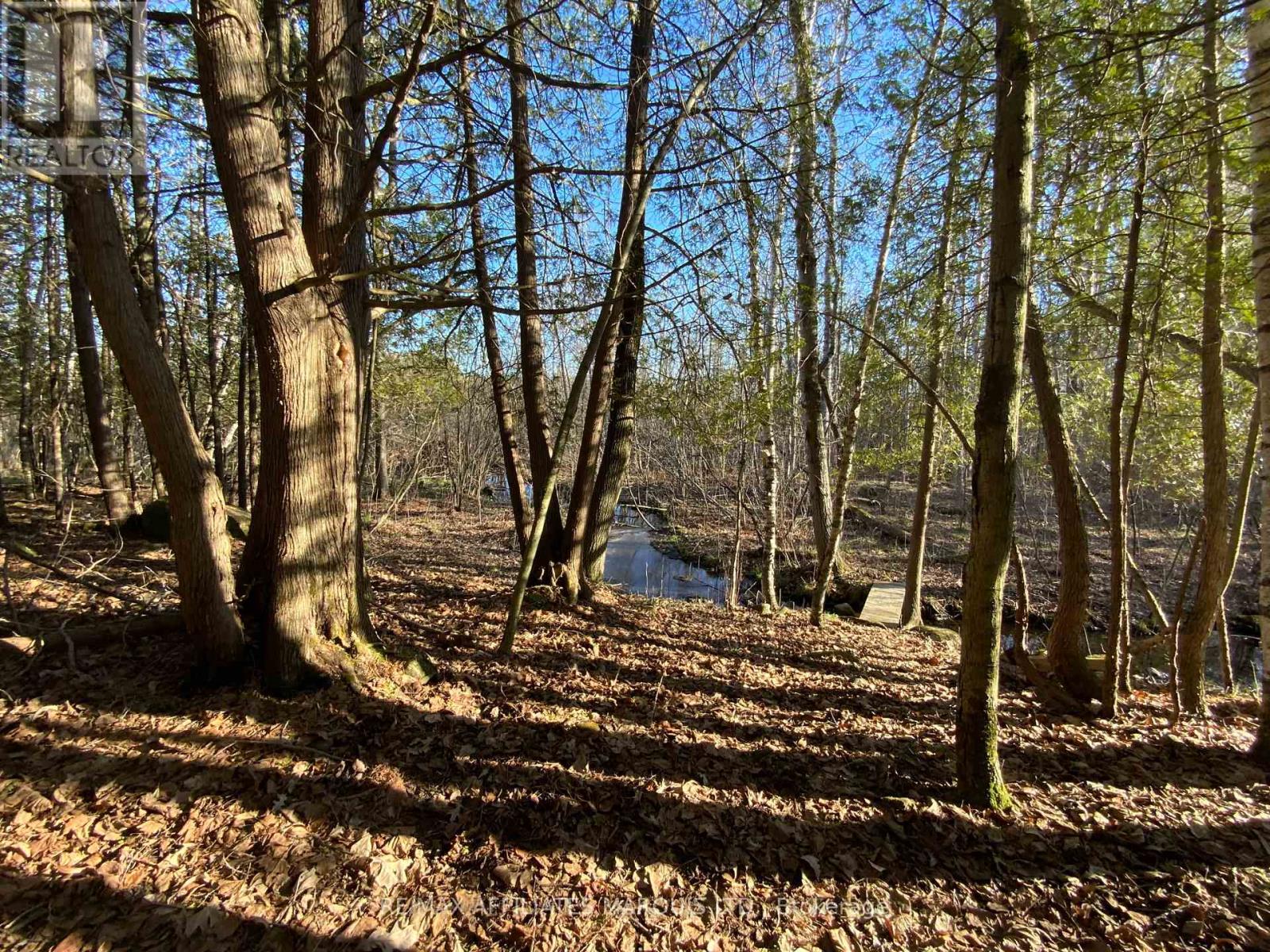 19168 Kenyon Conc 1 Road, North Glengarry, Ontario  K0C 1B0 - Photo 38 - X13055212