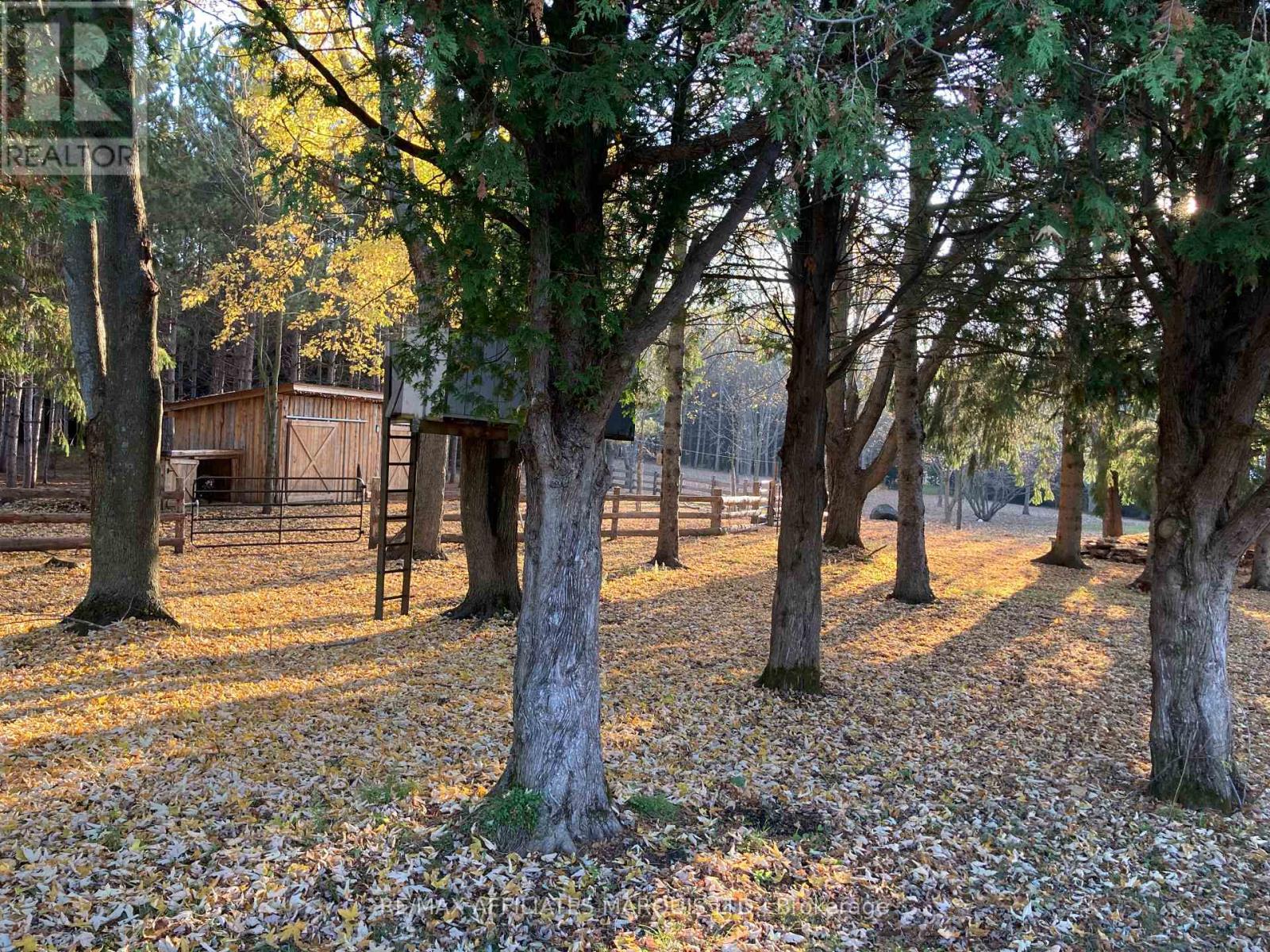 19168 Kenyon Conc 1 Road, North Glengarry, Ontario  K0C 1B0 - Photo 34 - X13055212