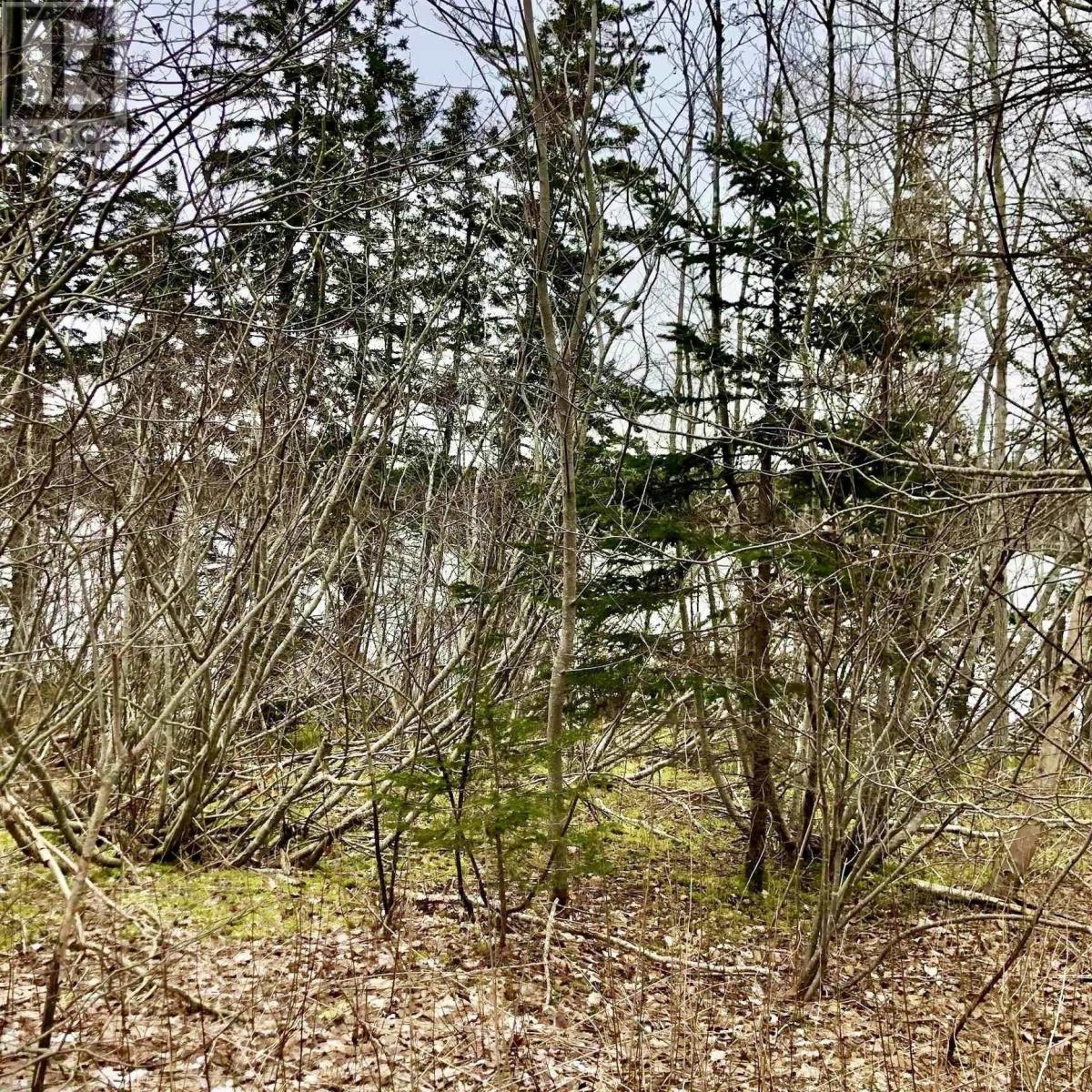 0 Main Rd., Hureauville, Nova Scotia  B0E 1J0 - Photo 5 - 202600522