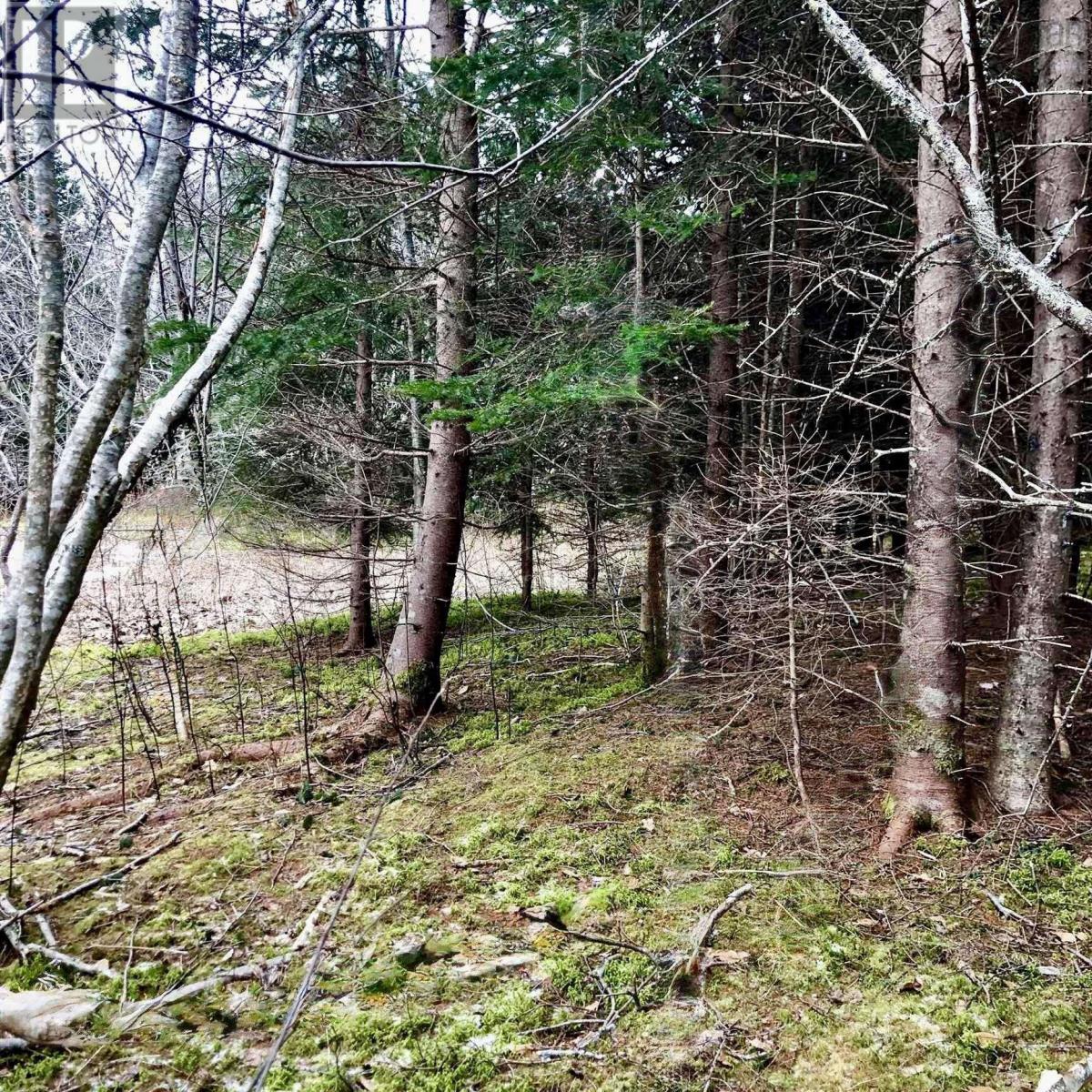 0 Main Rd., Hureauville, Nova Scotia  B0E 1J0 - Photo 2 - 202600522