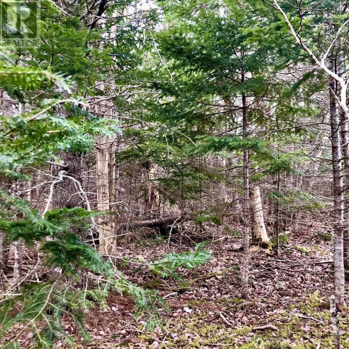 0 Main Rd., Hureauville, Nova Scotia  B0E 1J0 - Photo 3 - 202600522