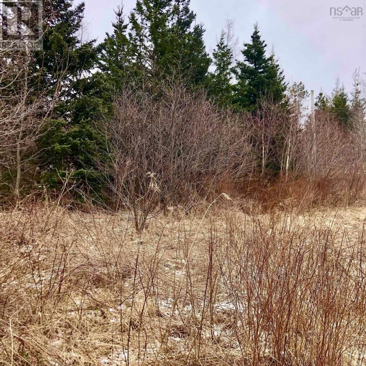 0 Main Rd., Hureauville, Nova Scotia  B0E 1J0 - Photo 6 - 202600522