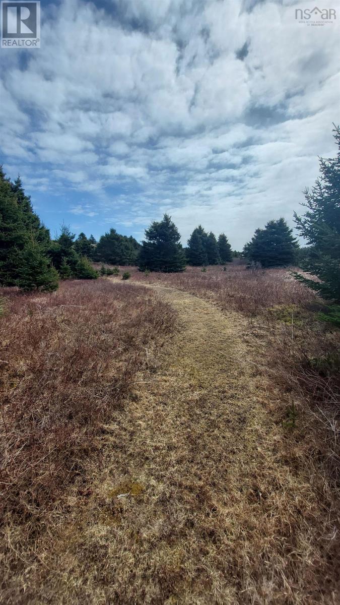 Martell Rd, Lower L'ardoise, Nova Scotia  B0E 1W0 - Photo 11 - 202608881