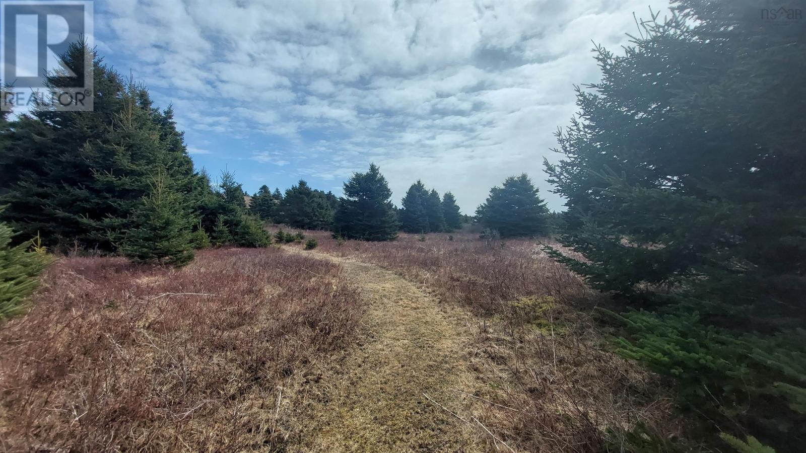 Martell Rd, Lower L'ardoise, Nova Scotia  B0E 1W0 - Photo 10 - 202608881