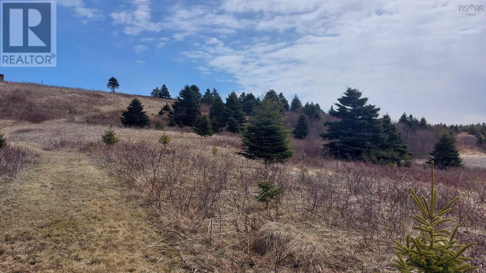 Martell Rd, Lower L'ardoise, Nova Scotia  B0E 1W0 - Photo 14 - 202608881