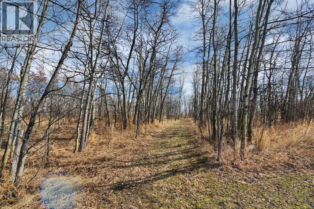 27137 Highway 42, Rural Red Deer County, Alberta  T0M 1R0 - Photo 48 - A2293336