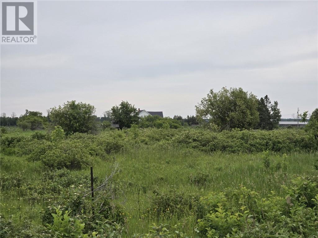 916 Campbell Rd, Evansville, Ontario  P0P 1E0 - Photo 2 - 2127388