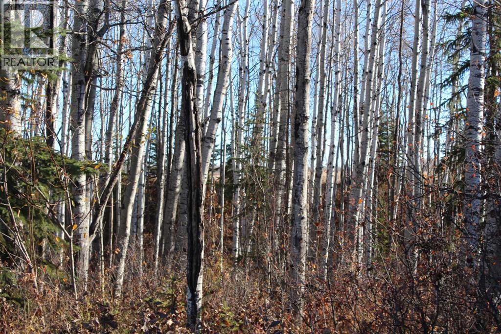 913007, Range Road 222, Rural Northern Lights, Alberta  T0H 2M0 - Photo 45 - A2265457