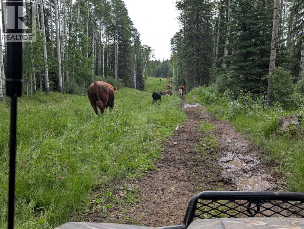 8 Range Road, Rocky Mountain House, Alberta  T0M 0M0 - Photo 5 - A2266112