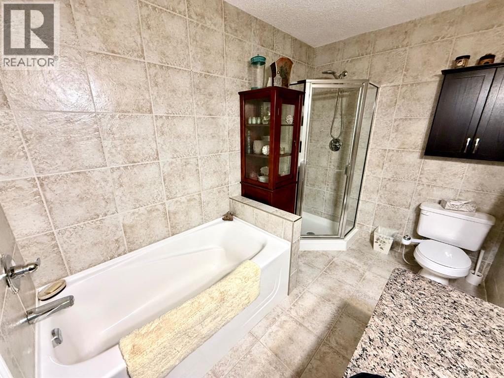 508 Prairie Sound Circle NW, High River, Alberta  T1V 2A3 - Photo 46 - A2305836