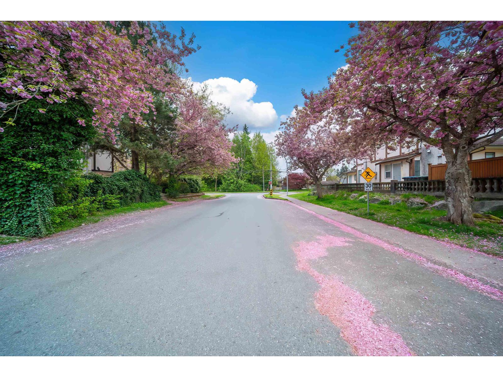 14932 98a Avenue, Surrey, British Columbia  V3R 8H7 - Photo 40 - R3117134