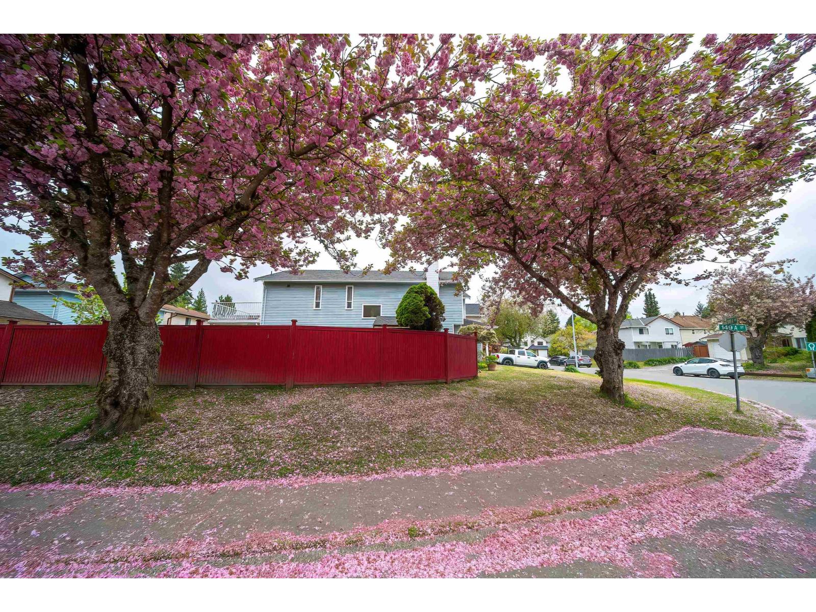 14932 98a Avenue, Surrey, British Columbia  V3R 8H7 - Photo 5 - R3117134