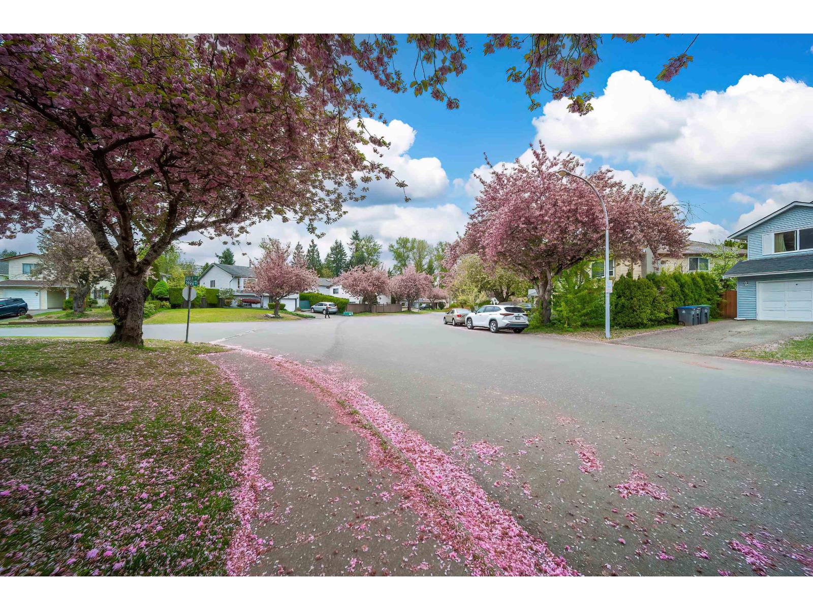 14932 98a Avenue, Surrey, British Columbia  V3R 8H7 - Photo 7 - R3117134