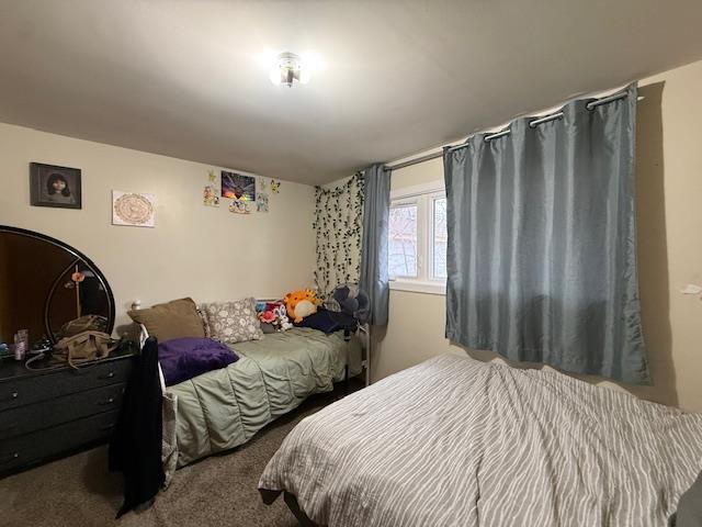 1 Pine Crescent, Steinbach, Manitoba  R5G 0G7 - Photo 18 - 202608608