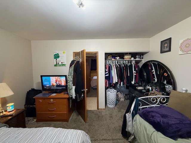 1 Pine Crescent, Steinbach, Manitoba  R5G 0G7 - Photo 21 - 202608608