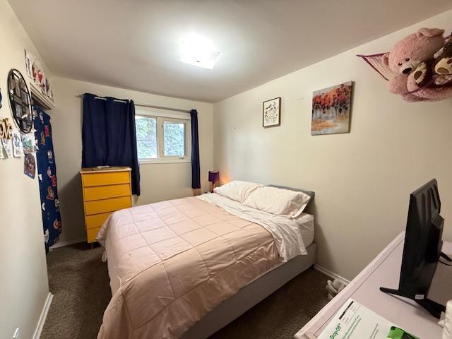 1 Pine Crescent, Steinbach, Manitoba  R5G 0G7 - Photo 22 - 202608608