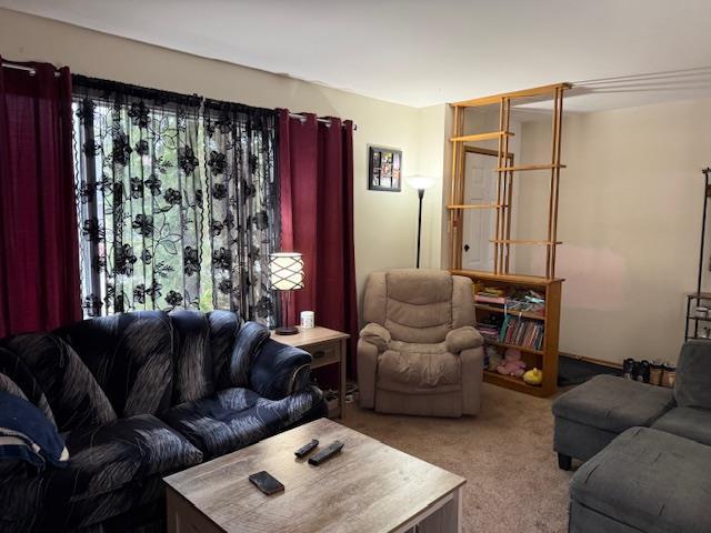 1 Pine Crescent, Steinbach, Manitoba  R5G 0G7 - Photo 4 - 202608608