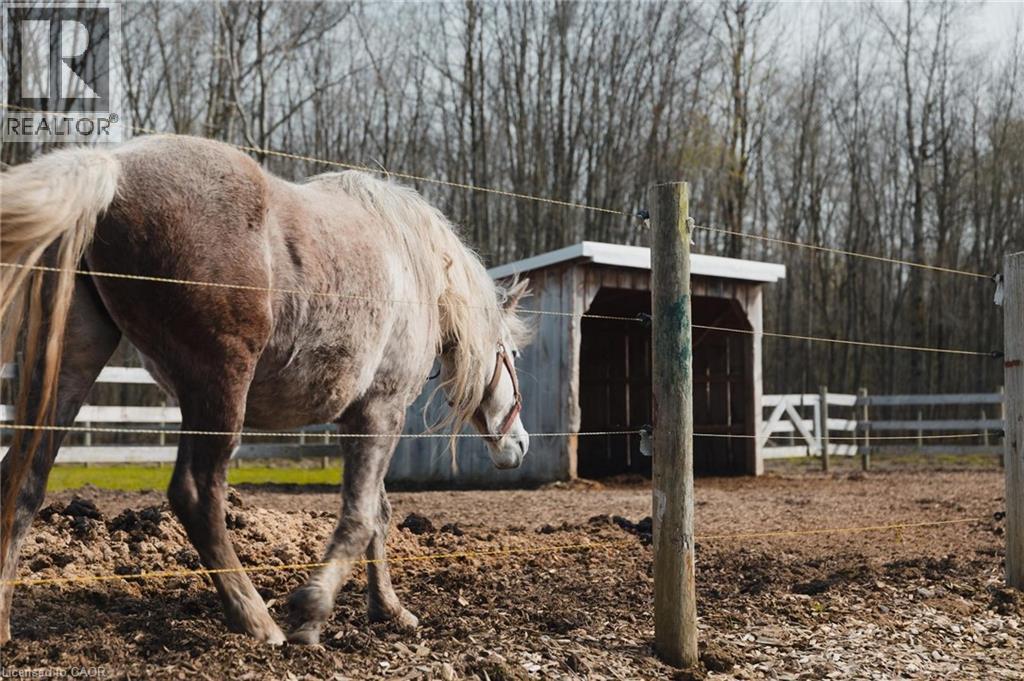 42551 C Line Road, Bluevale, Ontario  N0G 1G0 - Photo 34 - 40825150