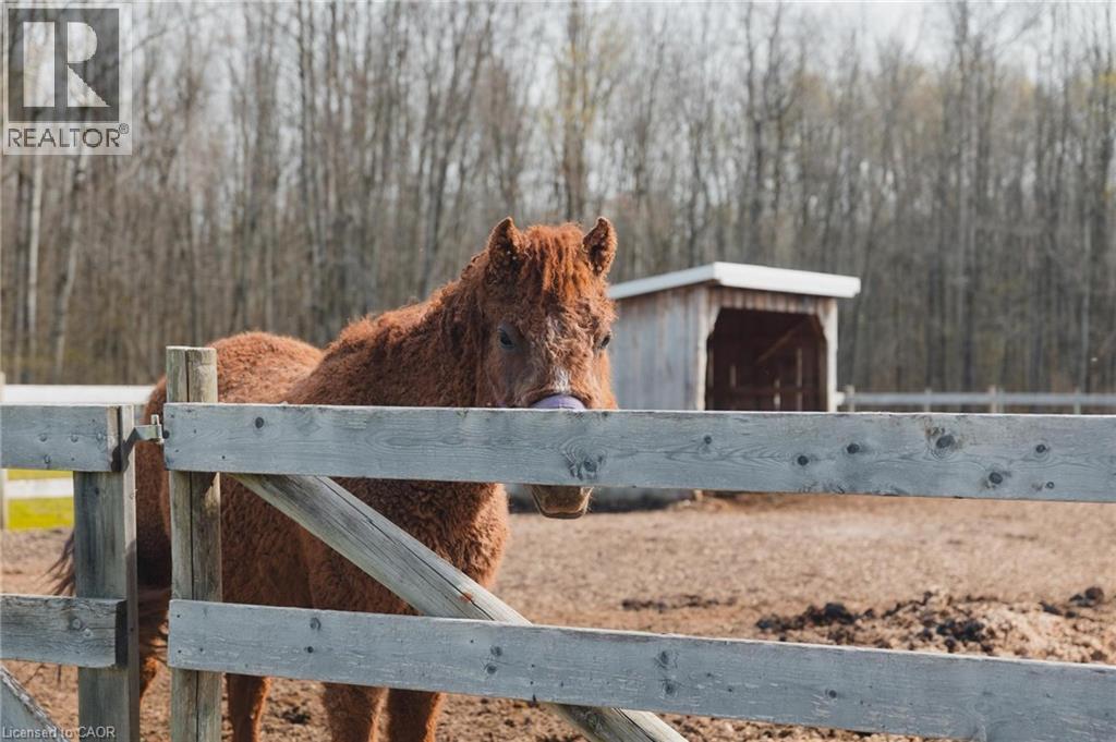 42551 C Line Road, Bluevale, Ontario  N0G 1G0 - Photo 35 - 40825150