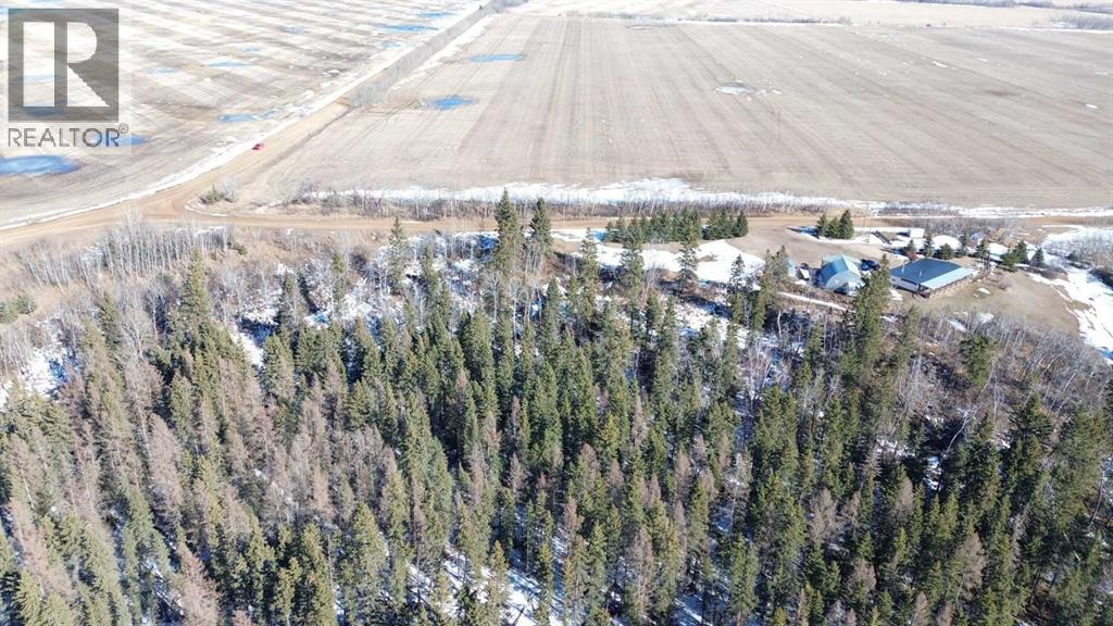 41172 Rr 17-3, Rural Stettler No. 6, Alberta  T0B 1H0 - Photo 6 - A2295027