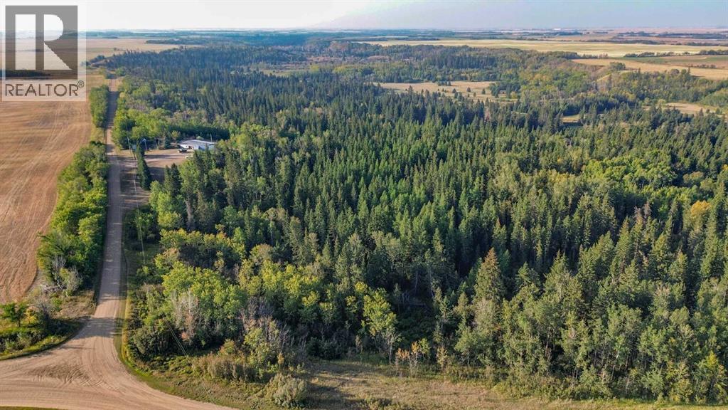 41172 Rr 17-3, Rural Stettler No. 6, Alberta  T0B 1H0 - Photo 49 - A2295027