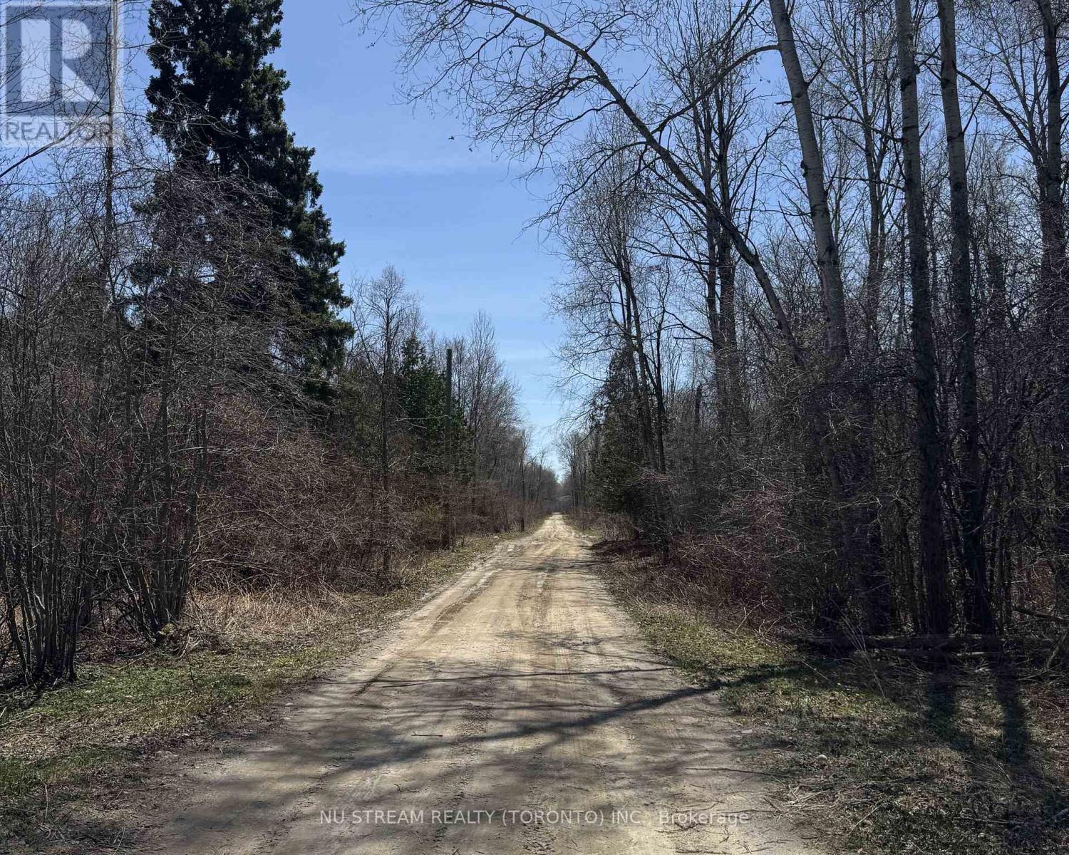 N/a 8th Concession, Georgina, Ontario  L0E 1A0 - Photo 4 - N13055938