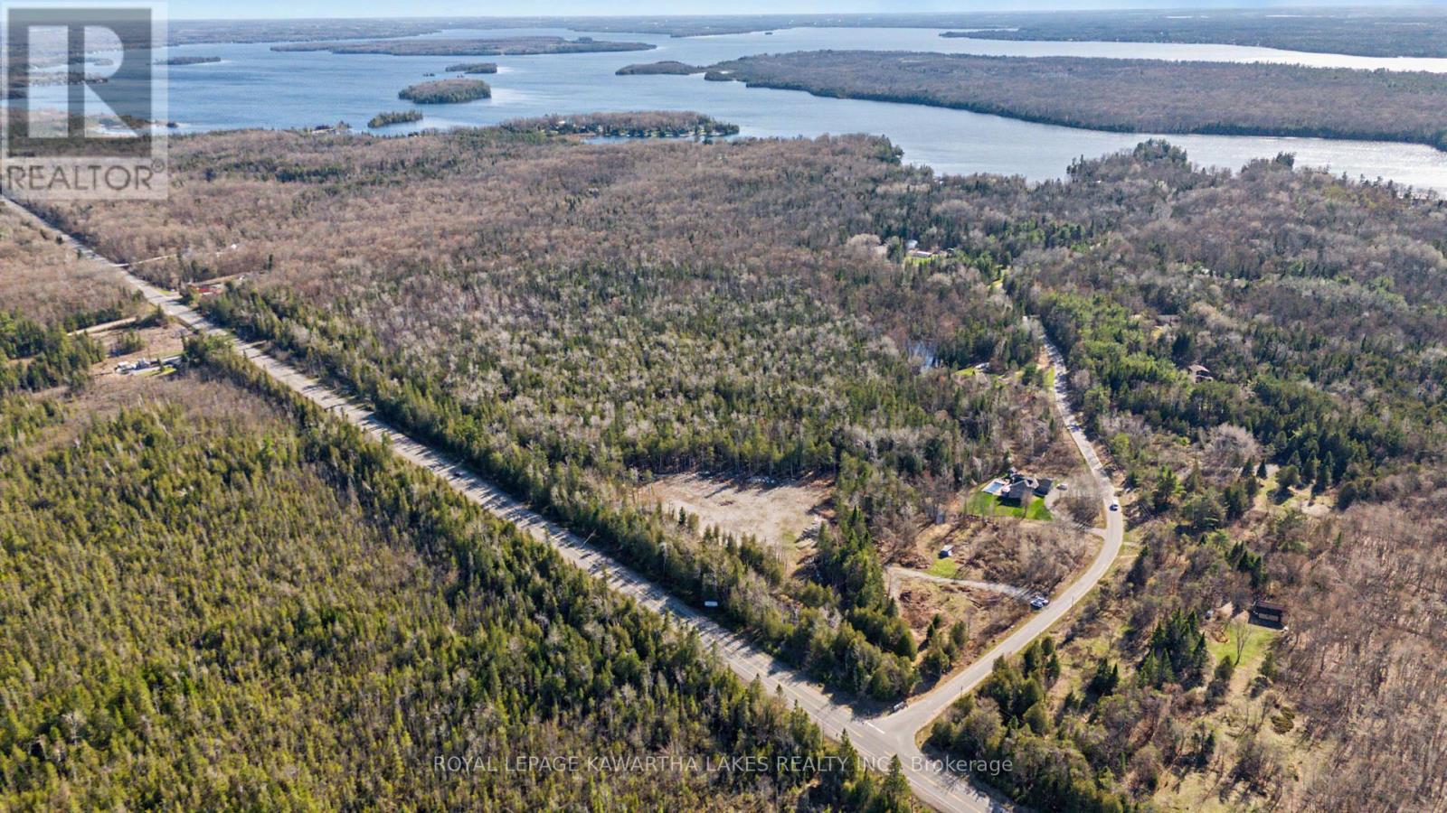 6369 Highway 35, Kawartha Lakes, Ontario  K0M 1K0 - Photo 11 - X13052316