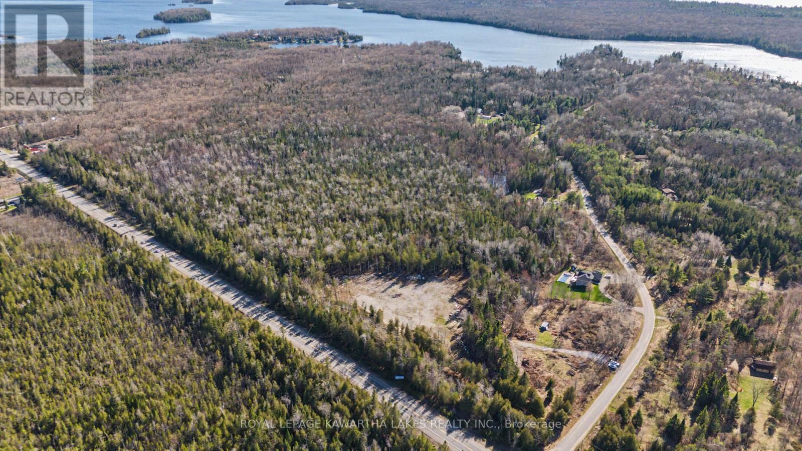 6369 Highway 35, Kawartha Lakes, Ontario  K0M 1K0 - Photo 12 - X13052316