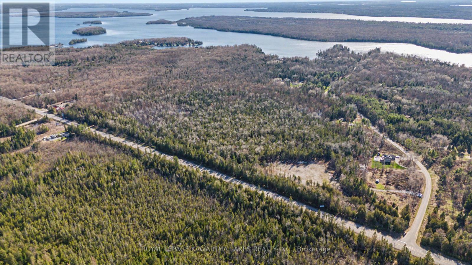 6369 Highway 35, Kawartha Lakes, Ontario  K0M 1K0 - Photo 13 - X13052316