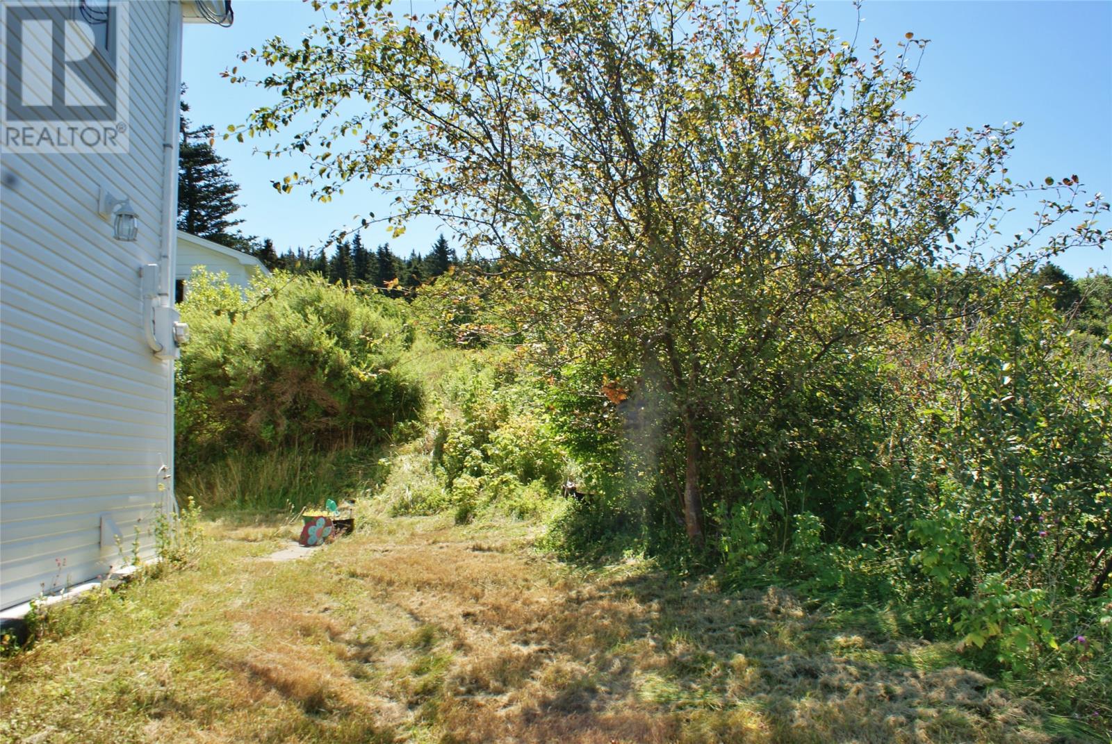 442 Southside Road, Harbour Grace, Newfoundland & Labrador  A0A 2M0 - Photo 6 - 1296701