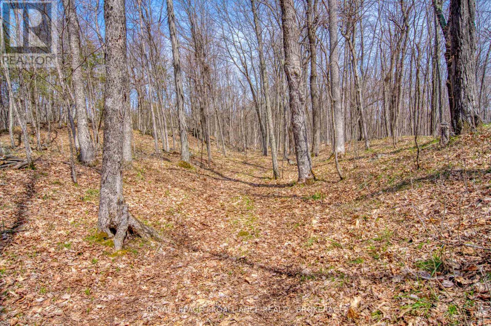 471 Stafford Lane, Frontenac, Ontario  K0H 2N0 - Photo 39 - X13054194