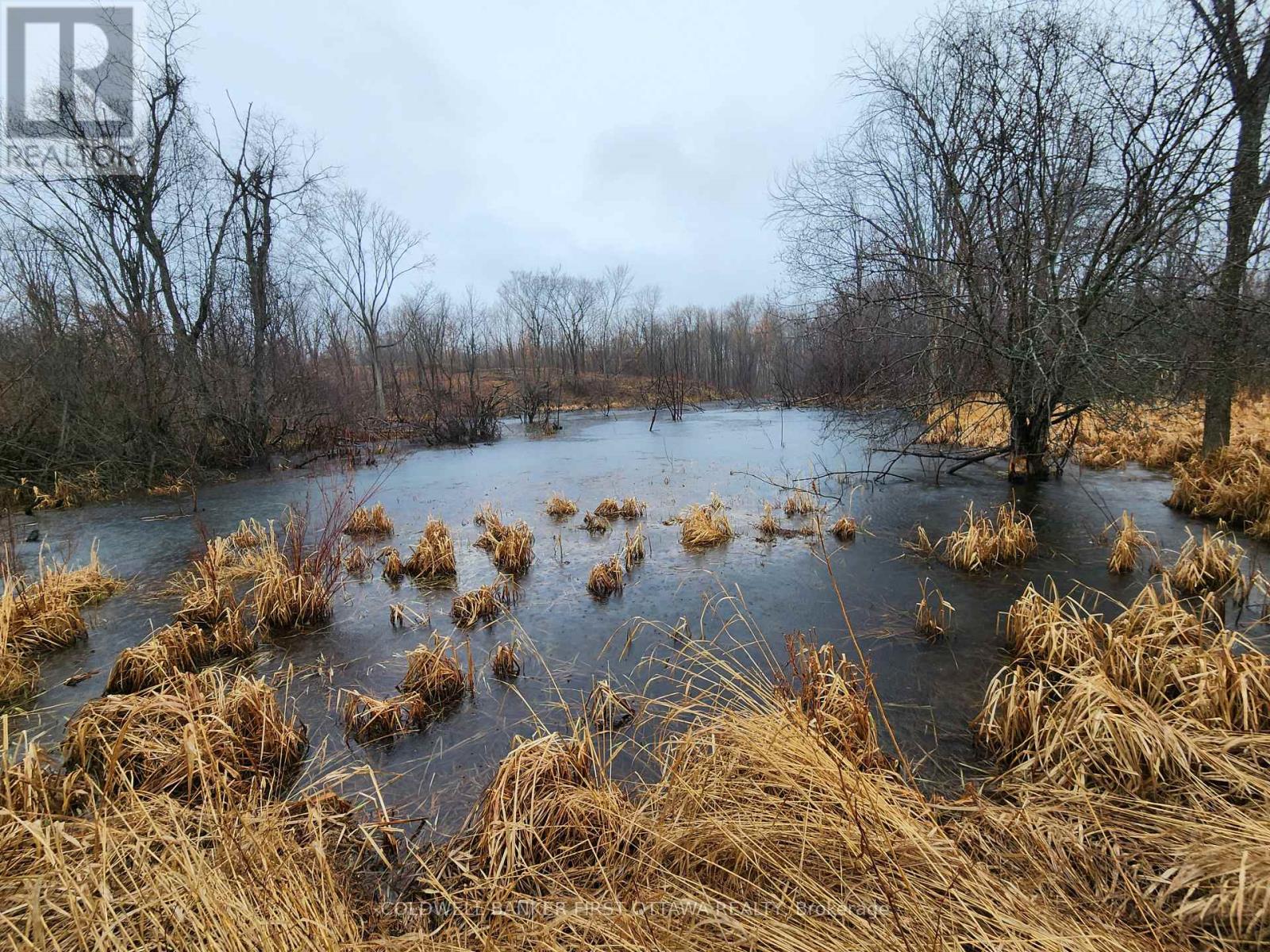 399 Grady Road E, Rideau Lakes, Ontario  K0G 1X0 - Photo 44 - X13056212