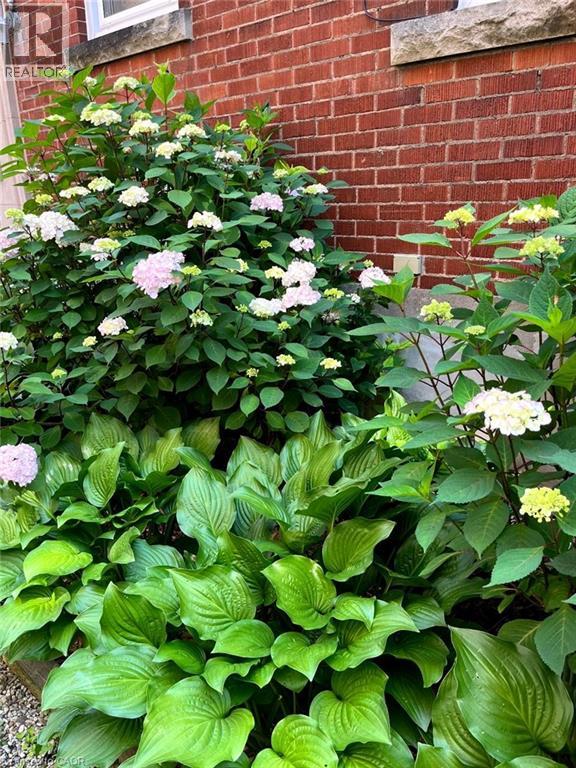 285 Bold Street Unit# 11, Hamilton, Ontario  L8P 1V9 - Photo 24 - 40798369