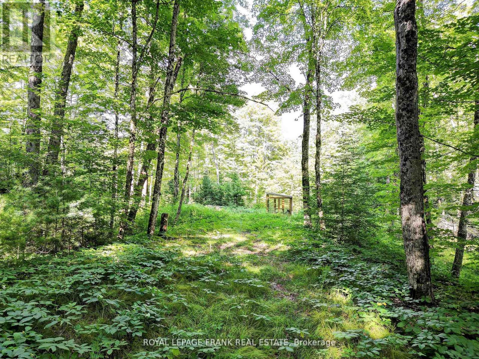843 Lasswade Road, North Kawartha, Ontario  K0L 1A0 - Photo 5 - X13056374