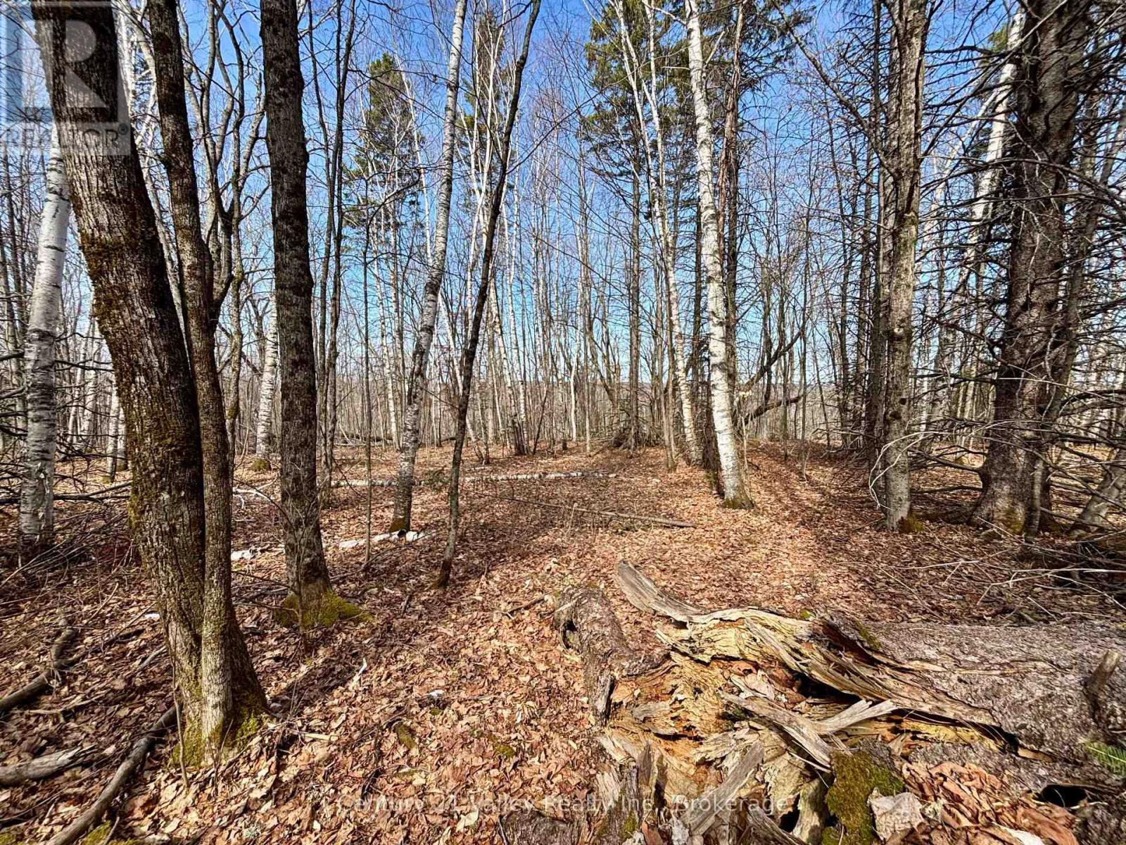 Lot 2 Foymount Road, Bonnechere Valley, Ontario  K0J 1W0 - Photo 10 - X13056310