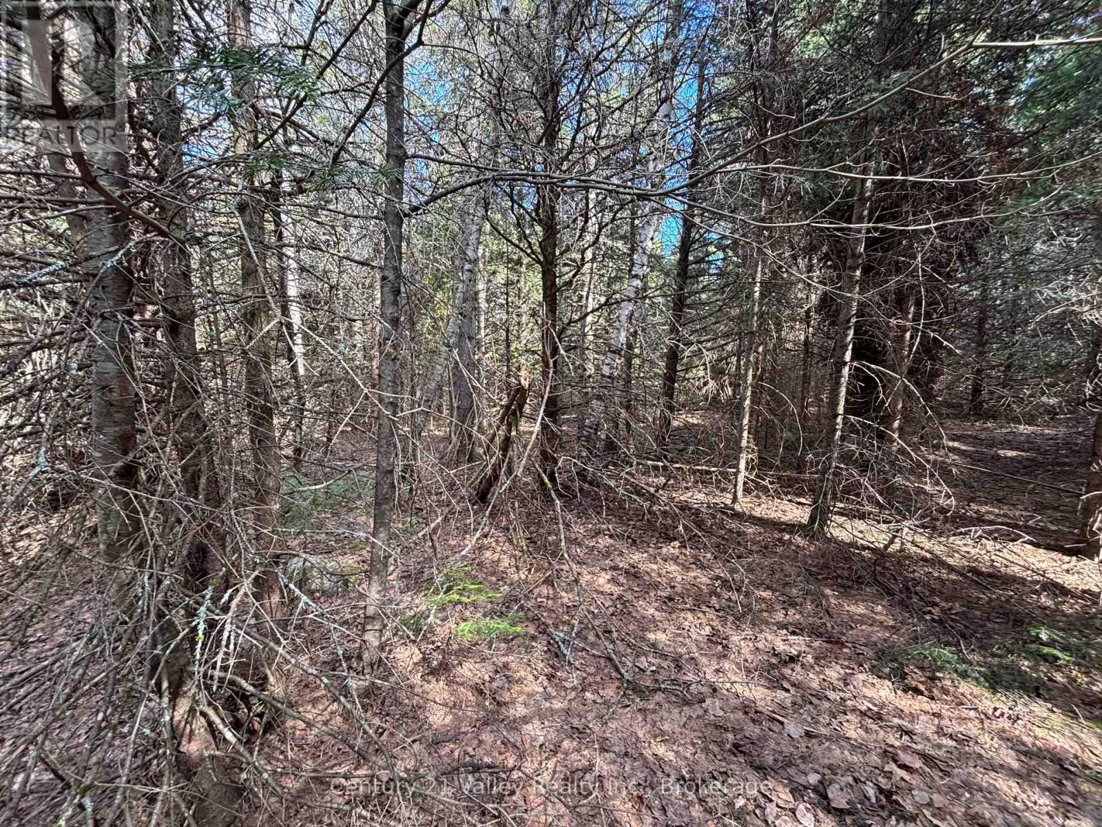 Lot 2 Foymount Road, Bonnechere Valley, Ontario  K0J 1W0 - Photo 11 - X13056310