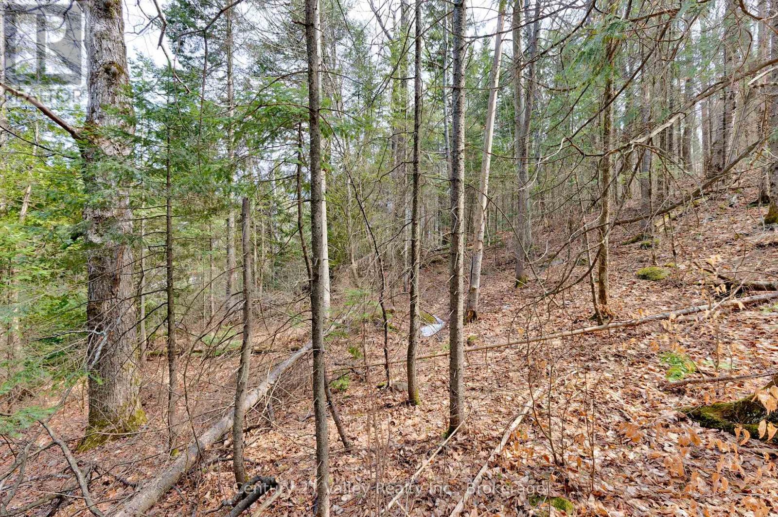 Lot 2 Foymount Road, Bonnechere Valley, Ontario  K0J 1W0 - Photo 4 - X13056310