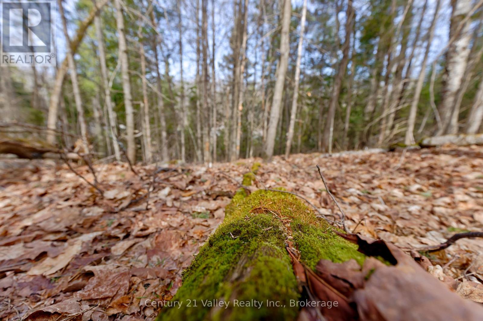 Lot 2 Foymount Road, Bonnechere Valley, Ontario  K0J 1W0 - Photo 5 - X13056310