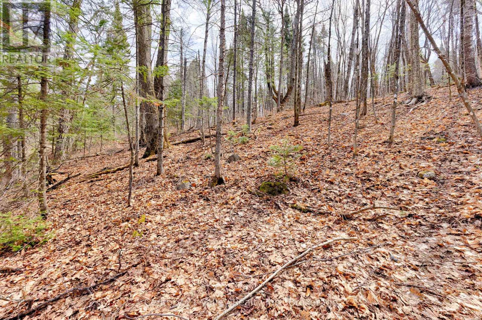 Lot 2 Foymount Road, Bonnechere Valley, Ontario  K0J 1W0 - Photo 6 - X13056310