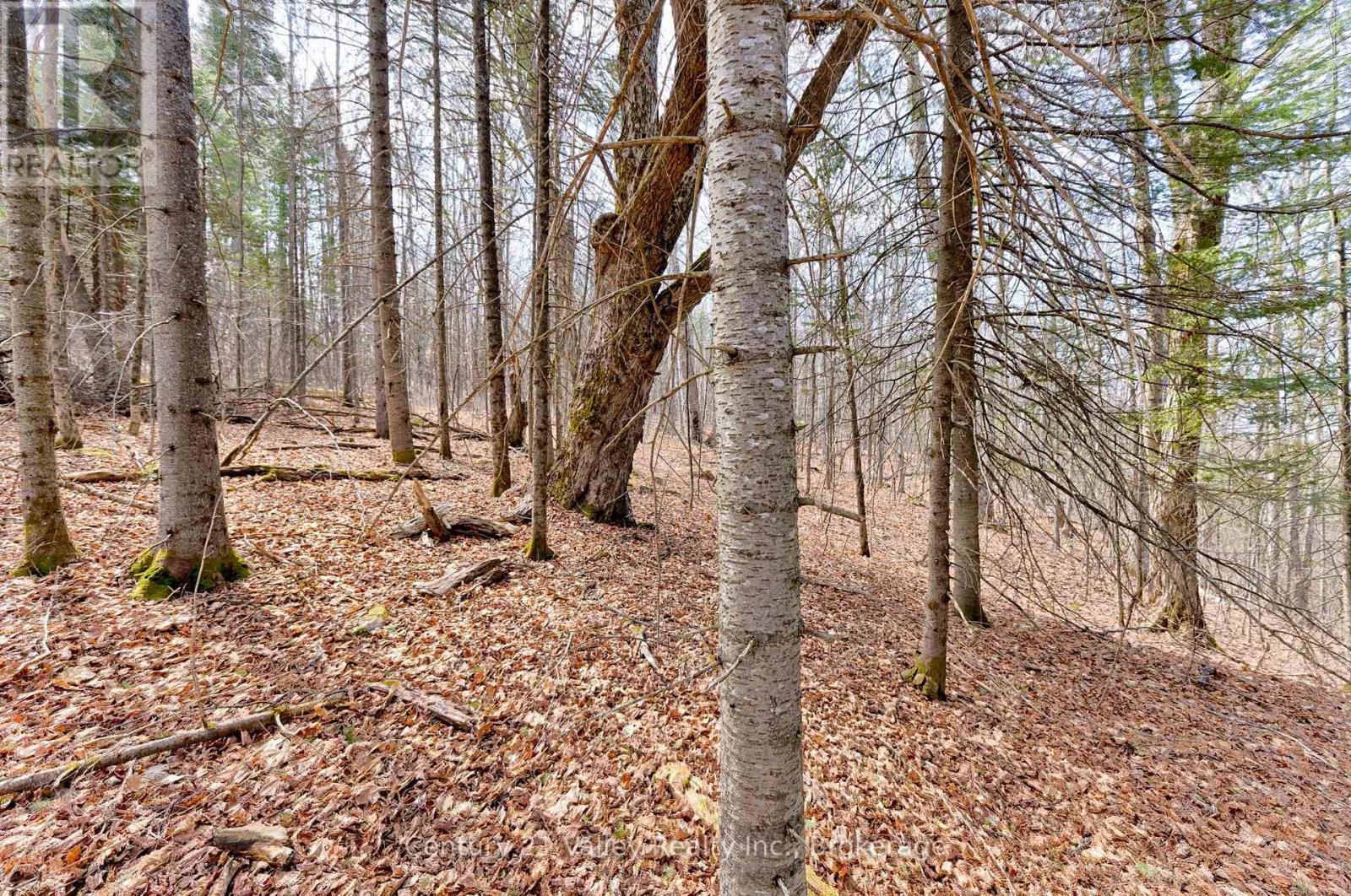 Lot 2 Foymount Road, Bonnechere Valley, Ontario  K0J 1W0 - Photo 7 - X13056310