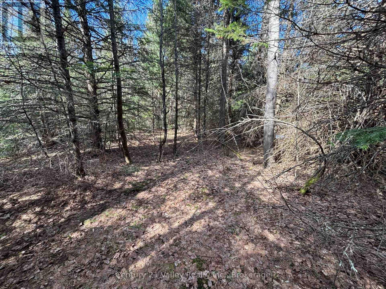 Lot 2 Foymount Road, Bonnechere Valley, Ontario  K0J 1W0 - Photo 8 - X13056310