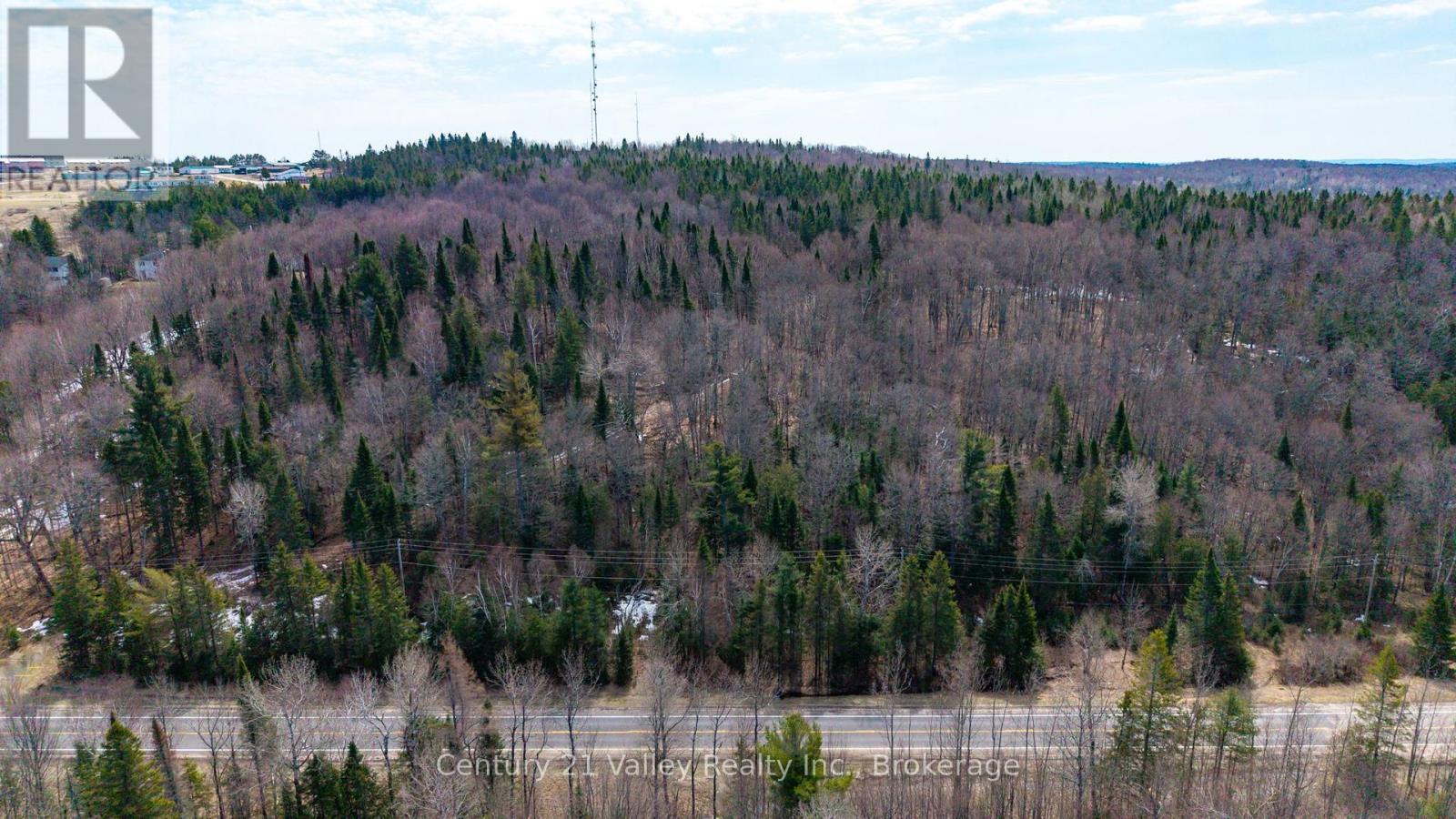 Lot 3 Foymount Road, Bonnechere Valley, Ontario  K0J 1W0 - Photo 5 - X13056312