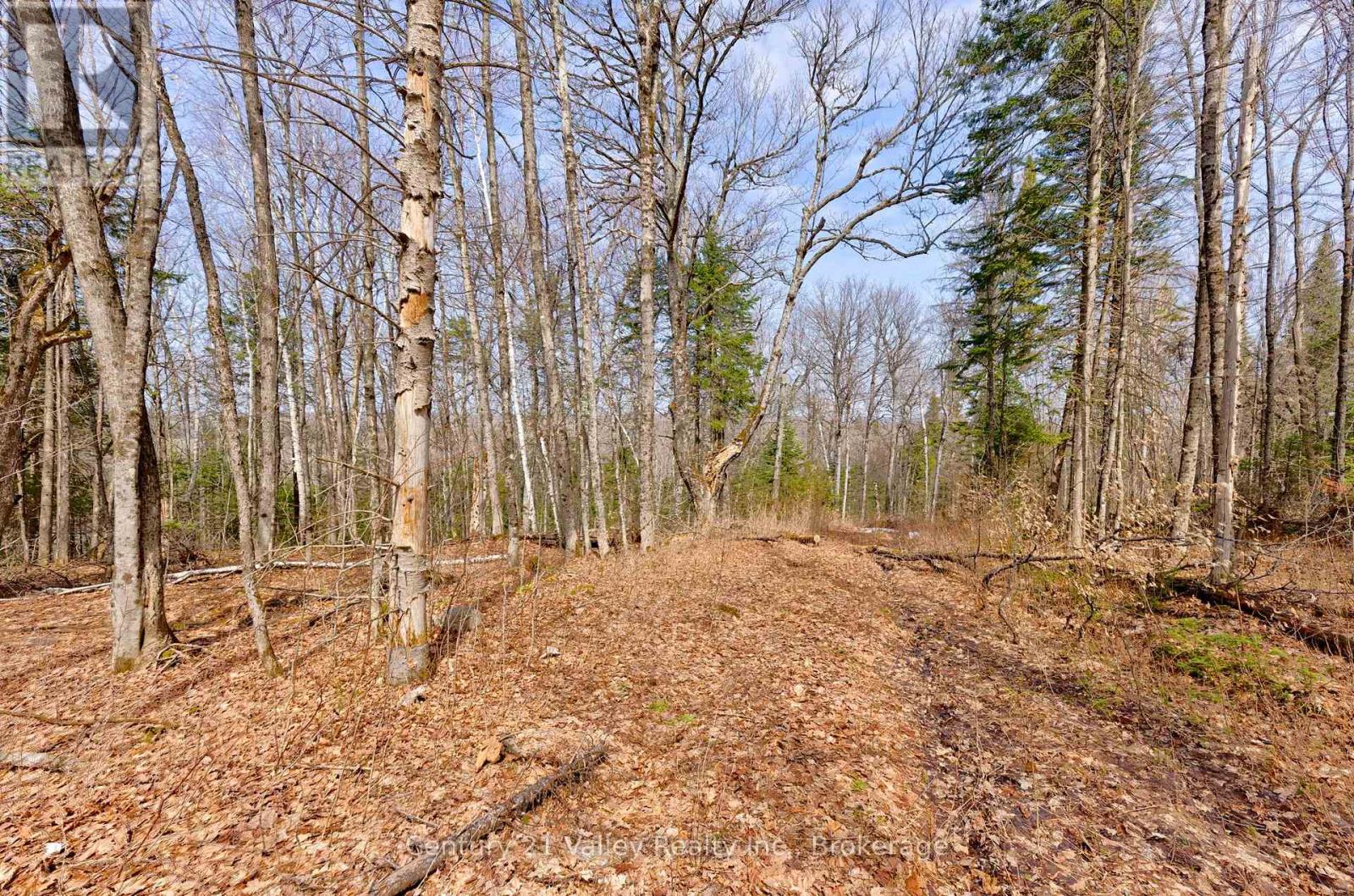 Lot 3 Foymount Road, Bonnechere Valley, Ontario  K0J 1W0 - Photo 6 - X13056312