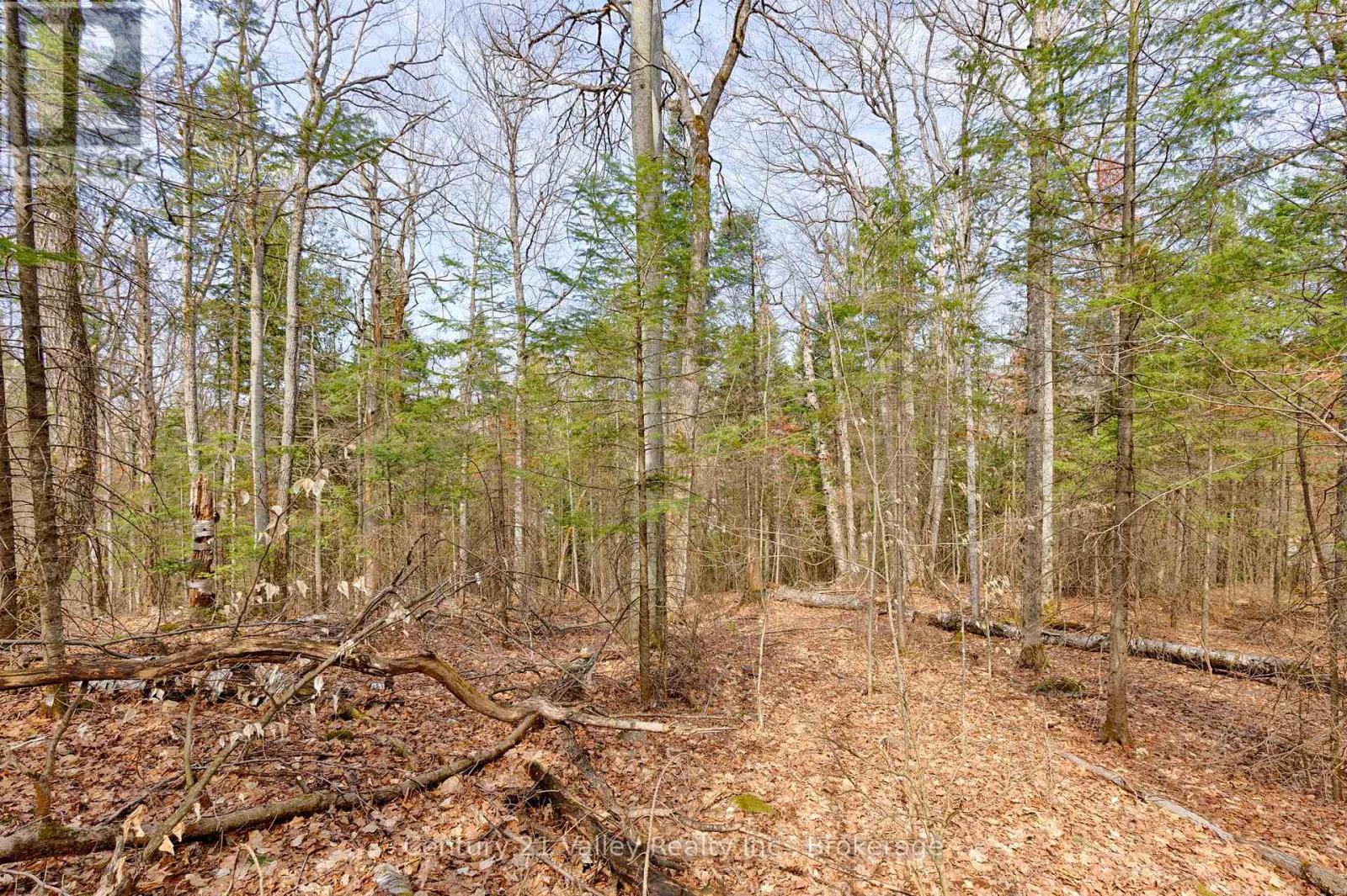 Lot 3 Foymount Road, Bonnechere Valley, Ontario  K0J 1W0 - Photo 7 - X13056312