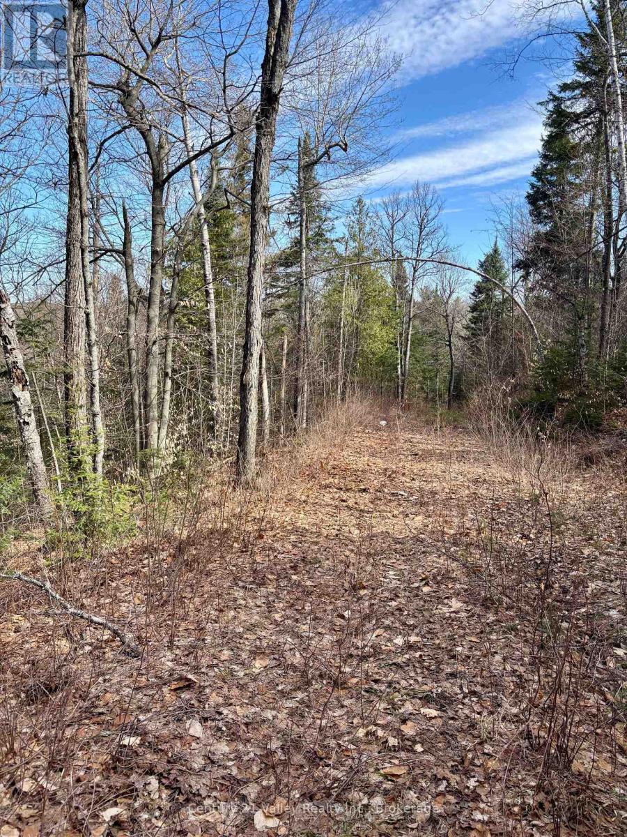 Lot 3 Foymount Road, Bonnechere Valley, Ontario  K0J 1W0 - Photo 8 - X13056312