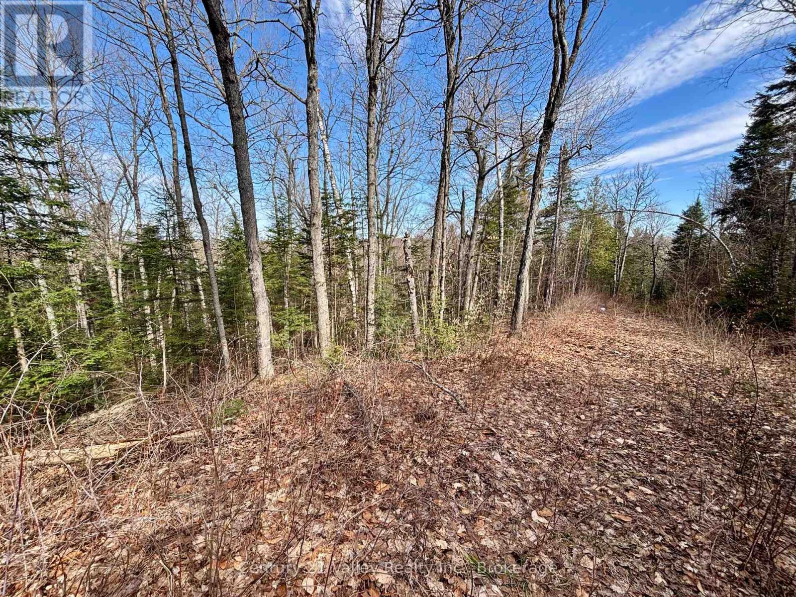 Lot 3 Foymount Road, Bonnechere Valley, Ontario  K0J 1W0 - Photo 9 - X13056312