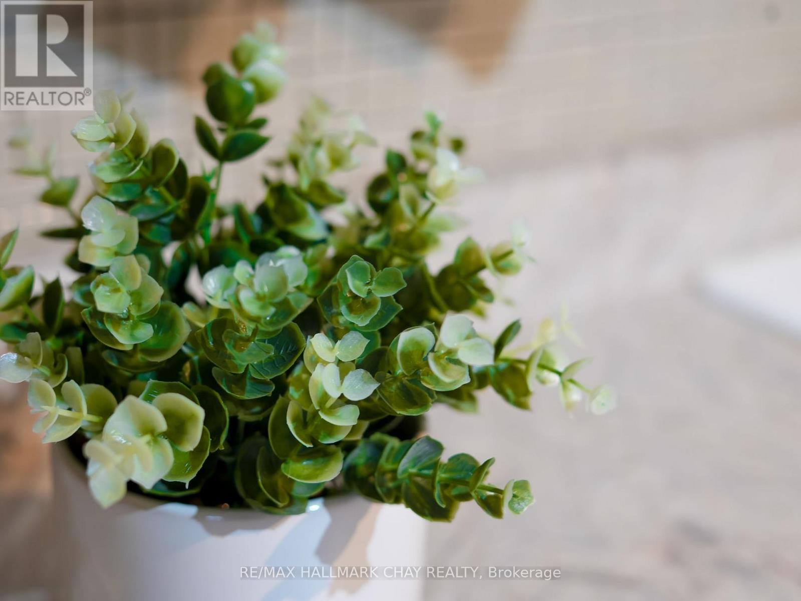 130 Simcoe Street, Essa, Ontario  L0M 1B0 - Photo 17 - N12853134