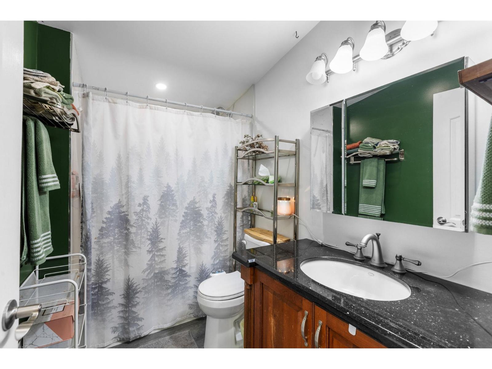 12468 Carr Street, Mission, British Columbia  V4S 1B9 - Photo 25 - R3116353